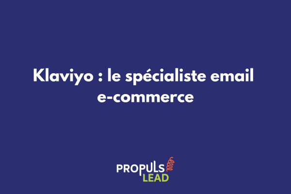 Interface dashboard Klaviyo montrant les statistiques d'email marketing et segmentation e-commerce