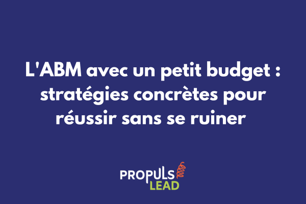 Guide visuel ABM pour petit budget avec tactiques et outils accessibles aux PME