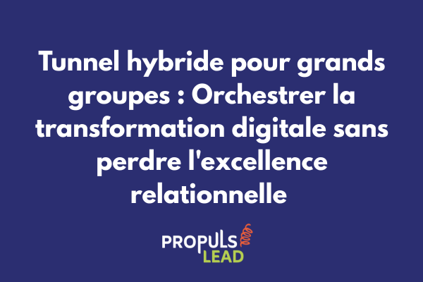 Schéma d'architecture d'un tunnel de vente hybride complexe pour grand groupe montrant l'intégration multi-divisions, multi-pays et multi-canaux