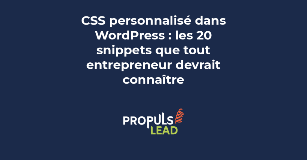 CSS personnalisé WordPress snippets entrepreneur site professionnel