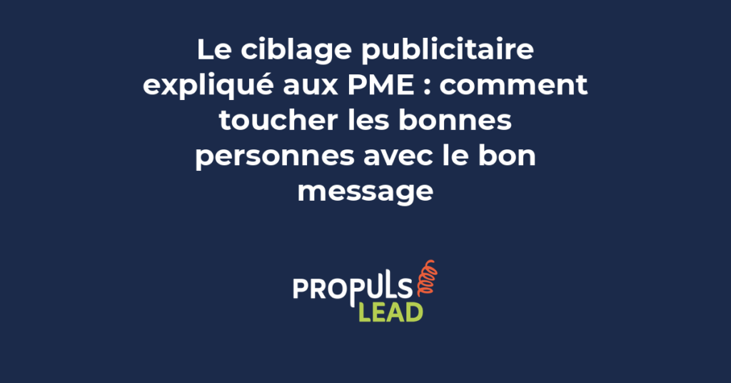 Schéma des stratégies de ciblage publicitaire pour les PME avec données démographiques, intérêts et comportements