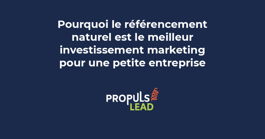 Graphique comparatif du retour sur investissement SEO versus publicité payante pour une PME sur 24 mois montrant la courbe croissante du trafic organique