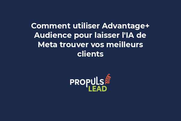 Interface Meta Ads avec paramètres Advantage+ Audience activés