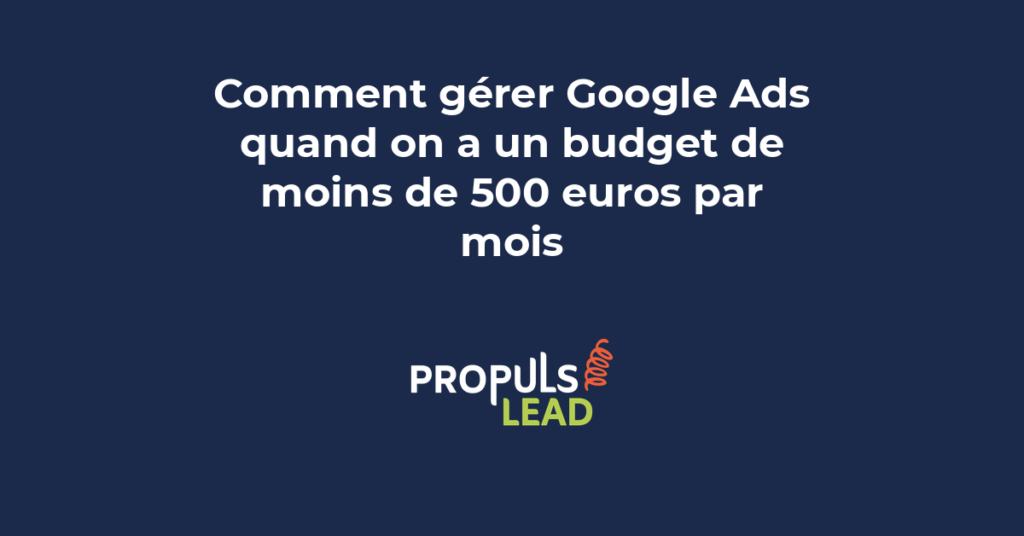 Interface Google Ads configurée pour une PME avec un budget mensuel de 500 euros et une stratégie de mots-clés ciblés