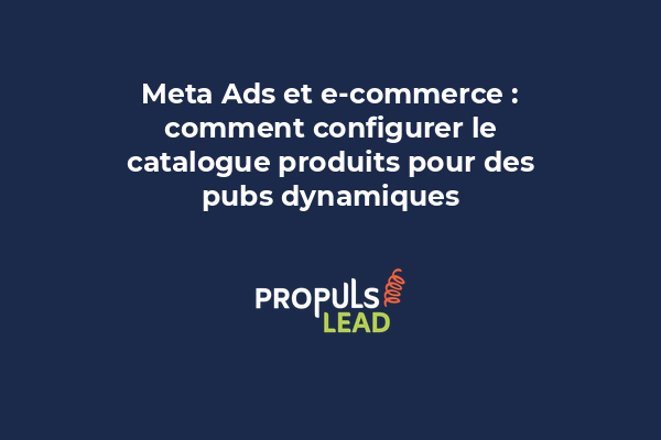 Exemple d'une structure de catalogue Meta Ads montrant les produits, les catégories, et les attributs personnalisés pour les publicités dynamiques.