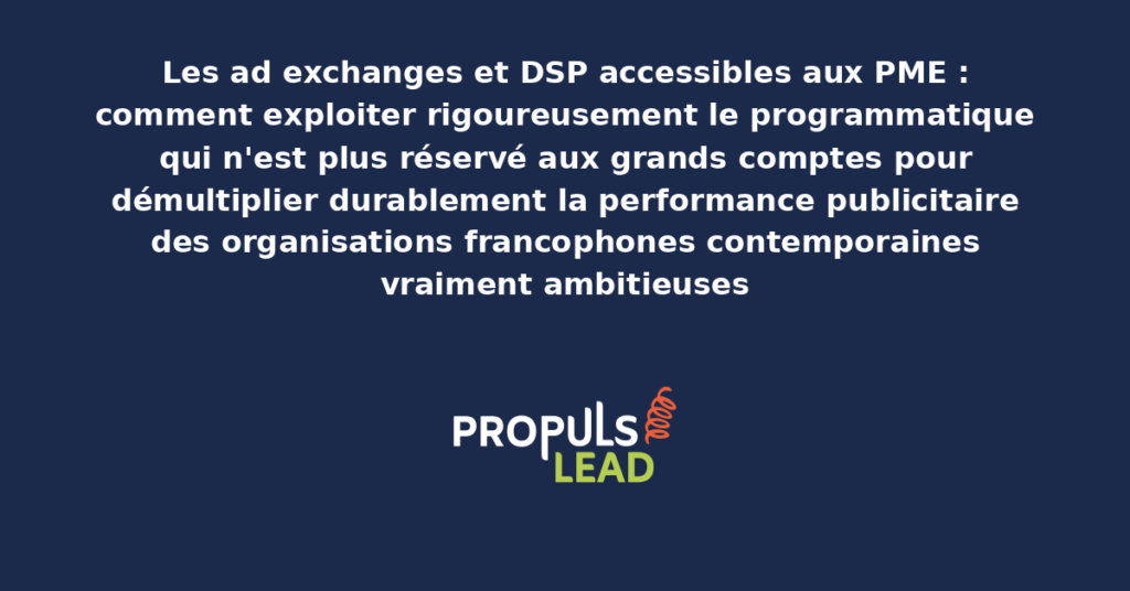 Schéma d'ad exchanges et DSP accessibles aux PME présentant les bonnes pratiques modernes pour exploiter rigoureusement le programmatique avec dispositifs structurants démultipliant durablement la performance publicitaire des organisations francophones