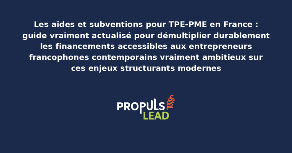 Schéma des aides et subventions TPE-PME en France présentant les bonnes pratiques modernes pour exploiter rigoureusement les dispositifs publics avec dispositifs structurants démultipliant durablement les financements accessibles