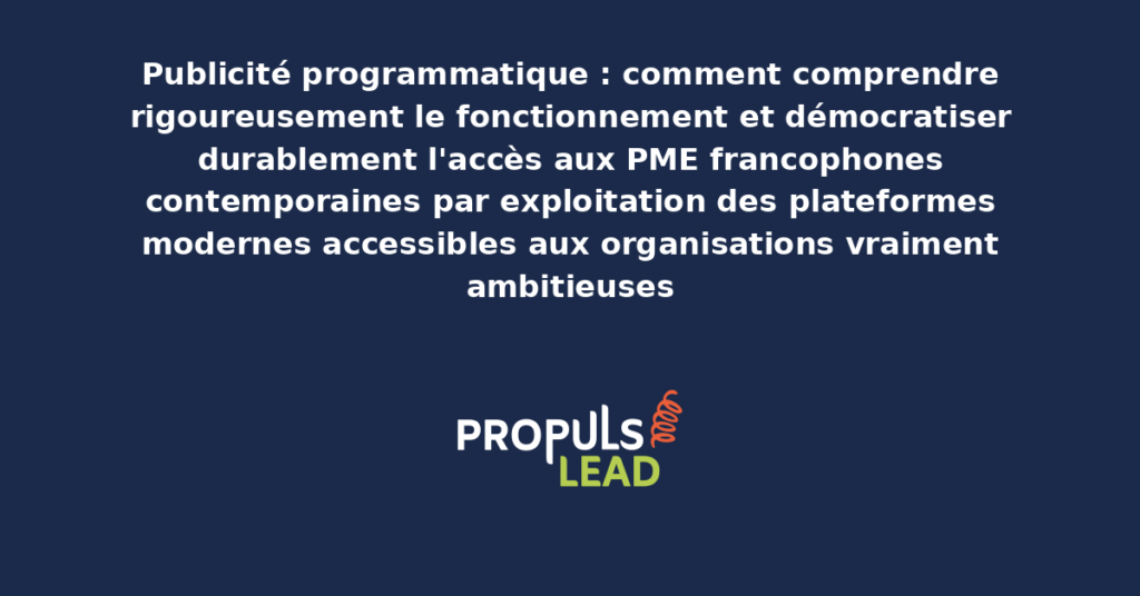 Schéma de fonctionnement de la publicité programmatique présentant les plateformes modernes accessibles aux PME francophones contemporaines avec dispositifs structurants pour démocratiser durablement l'accès aux organisations ambitieuses