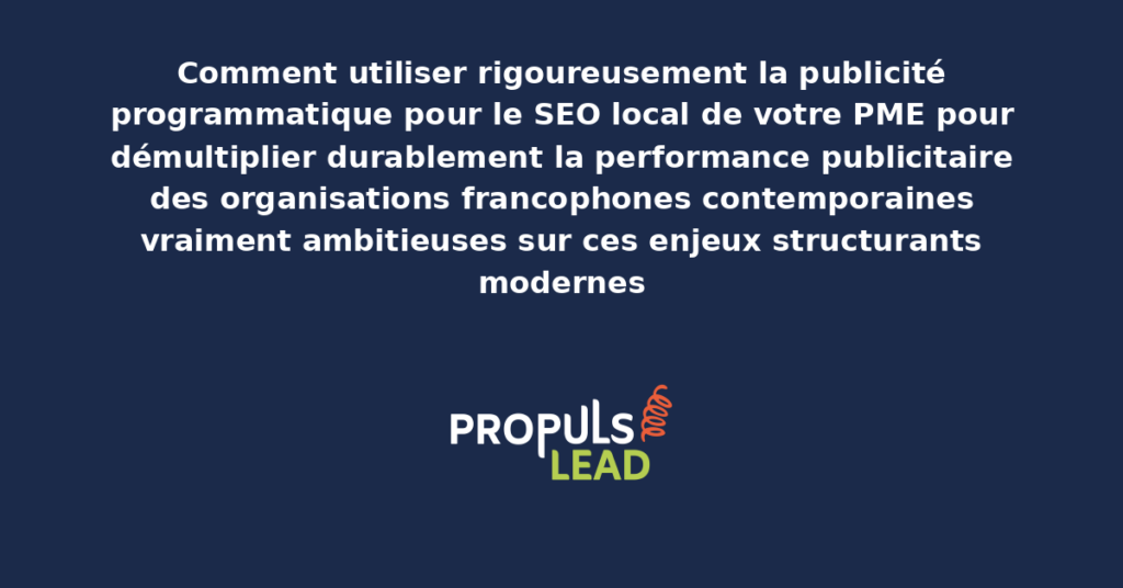 Schéma de publicité programmatique pour SEO local PME présentant les bonnes pratiques modernes pour utiliser rigoureusement le programmatique géolocalisé avec dispositifs structurants démultipliant durablement la performance publicitaire