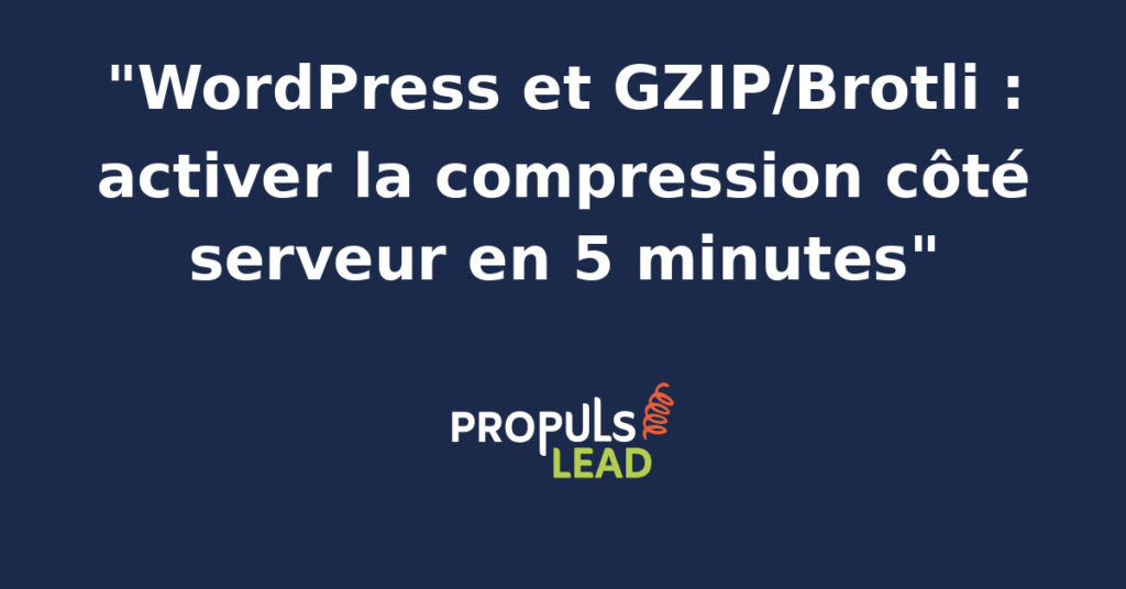 Schéma de la compression GZIP et Brotli sur un serveur WordPress avec illustration du gain de poids entre fichiers HTML, CSS et JavaScript non compressés et compressés